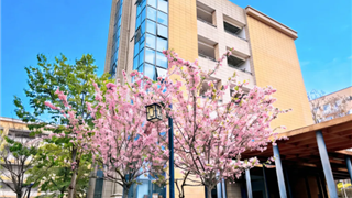 爱在冠实 || 眉山冠实春日花信：把东坡的春天，读...