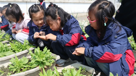 植绿正当时 || 以劳育心 共赴春日与成长之约